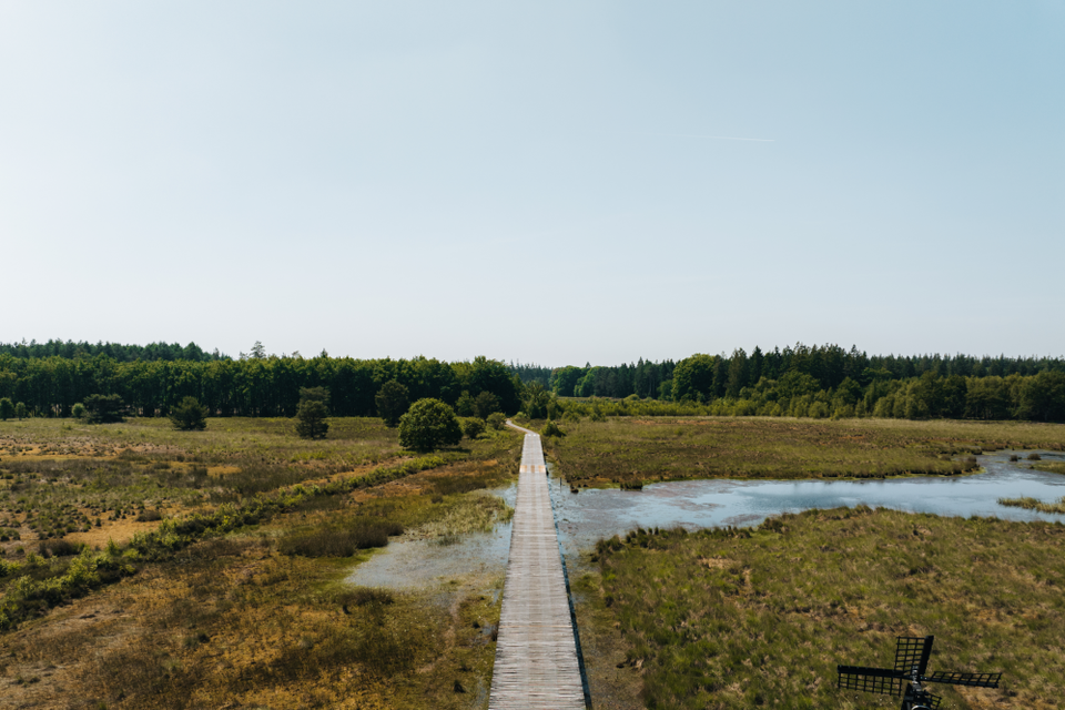 Drone foto van een man die wandelt over een langgerekt plankenpad in natuurgebied Hart van Drenthe op een zonnige dag.