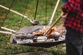Biesbosch Winterfestijn