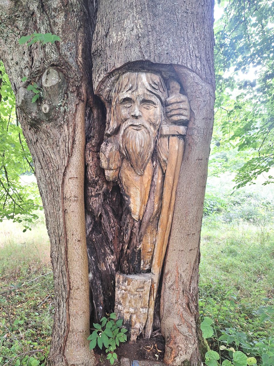 Beeldenroute Olterterp