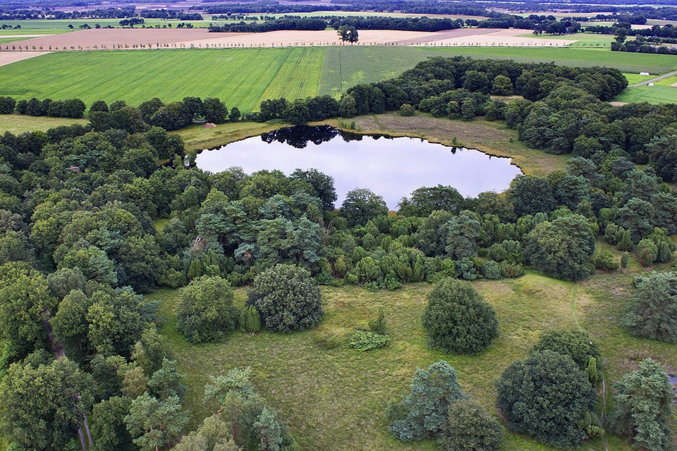 Een luchtfoto van water en bomen.
