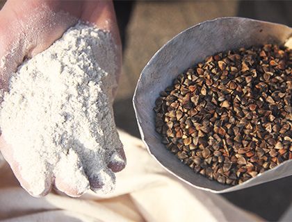 product van de molen