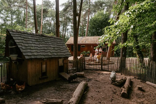 Boshuisje en centrale plek met kippenhok en verblijf voor varken