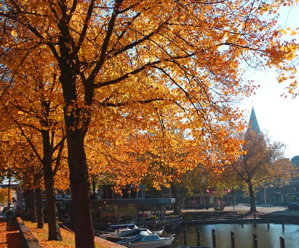 herfst-haven-woerden-welkom-in-woerden-carousel-beleef-woerden-herfst