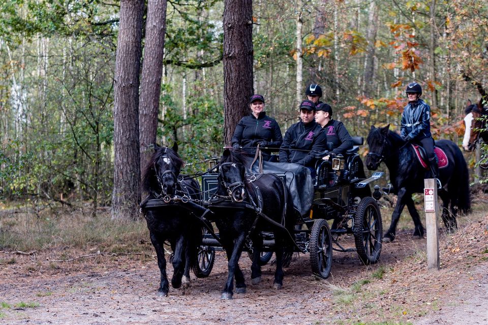 Ontdek de Kempen te paard!