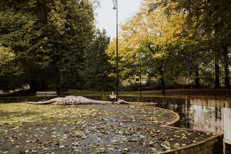 berenkuil kunstwerk michel huisman maastricht