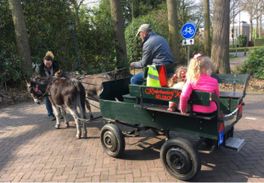 Ritjes met Teun en Kasper voor de ezelwagen
