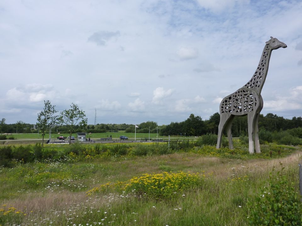 Giraffe - Oranjedorp