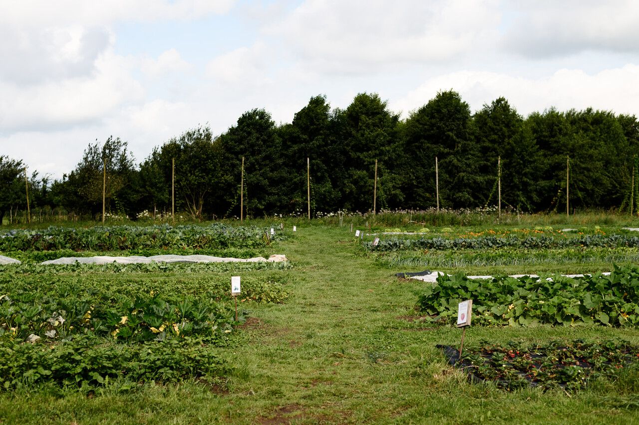 Tuin Kraaiveld