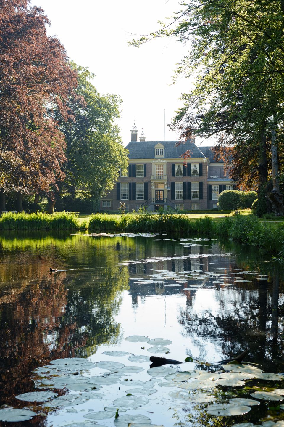 De gracht van Kasteel Groeneveld met waterlelies en eendjes