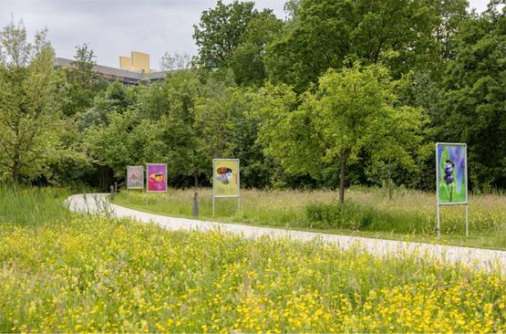 Buitenexpositie: Winnaars fotowedstrijd 'Uitvliegers en aanwaaiers!'