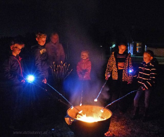 Museumnacht met marshmallows roosteren boven vuurkorf