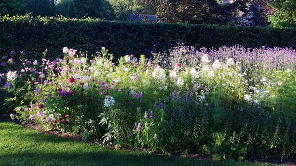 Tuin aan 't Leusveld