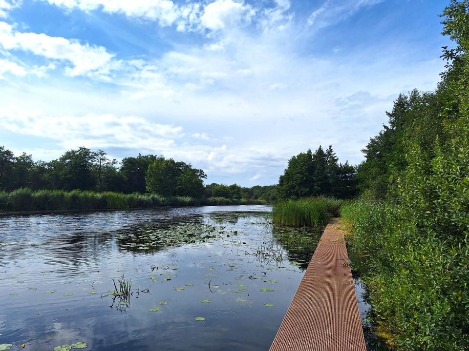 Wandelroute Pettebosk