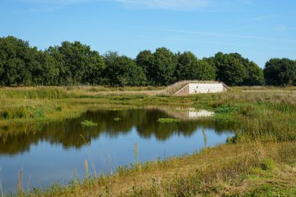 Public walk IVN 't Gulden Land