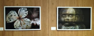 Expositie Simeonshof