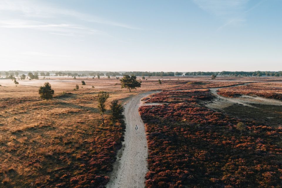 Luchtfoto van een man die over de Drentse heide wandelt.