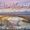 Art fotografie uit de expositie WereldsWad door Marijke Talsma