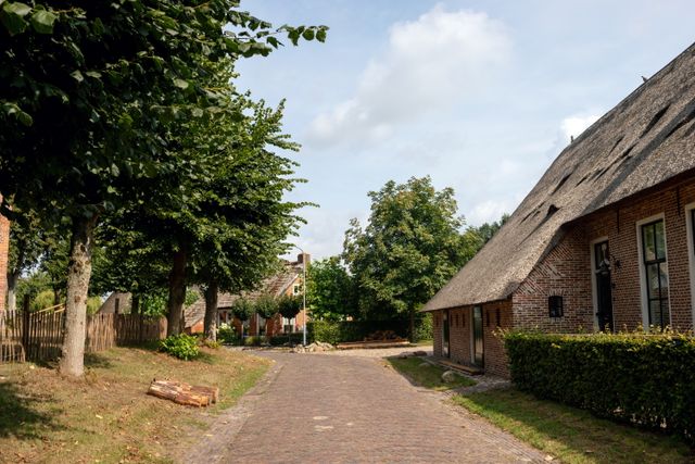 Brinkdorp met boerderijtjes en een klinkerweggetje.