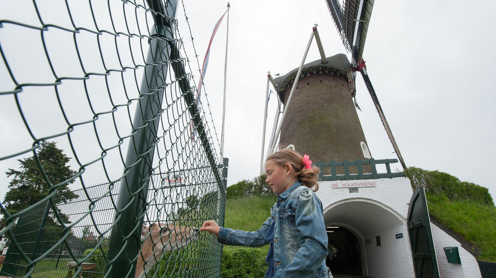 Molen De Volksvriend Liessel