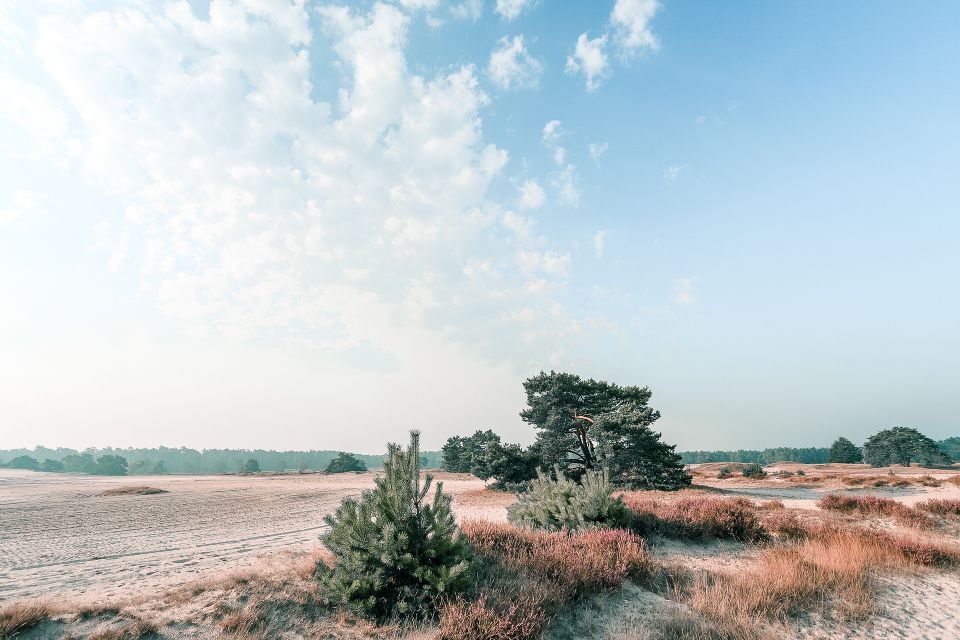 Hulshorsterzand op de Veluwe