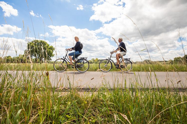 Fietsers achter riet