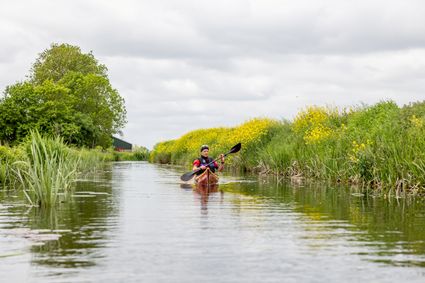 Ein Kanufahrer paddelt durch einen Graben mit gelben Blumen im Gras und einem Bauernhof im Hintergrund.
