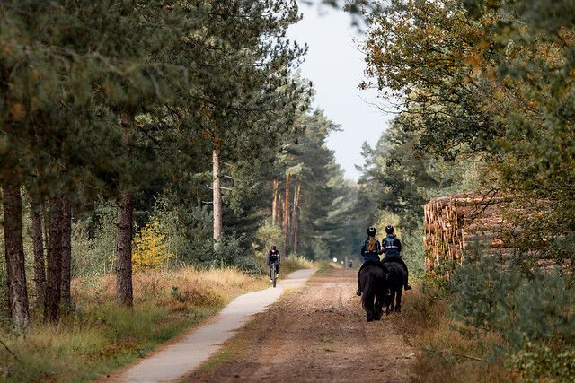 1 mountainbiker op het parcours met paarden