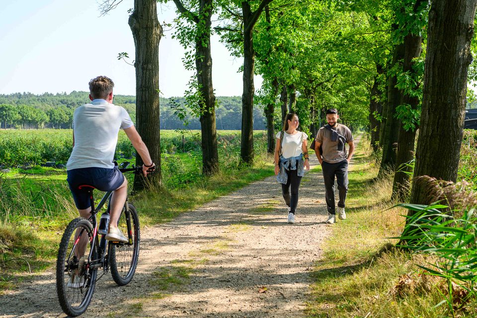Roermond buitengebied fietsen en wandelen