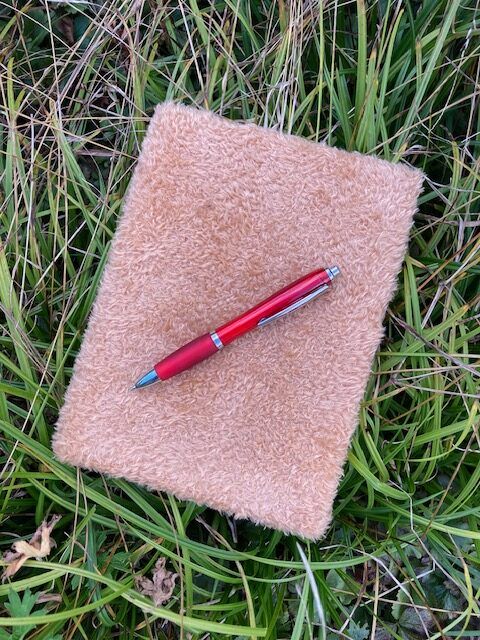 WORKSHOP, BIOGRAFISCH SCHRIJVEN