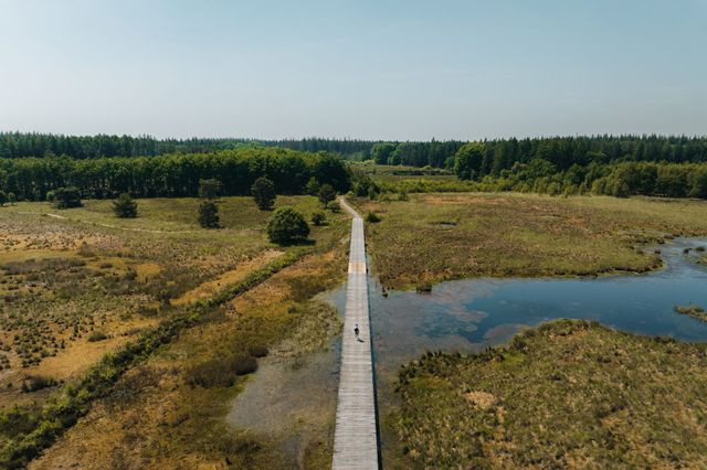 Man loopt over een vlonderpad in de natuur in Drenthe.