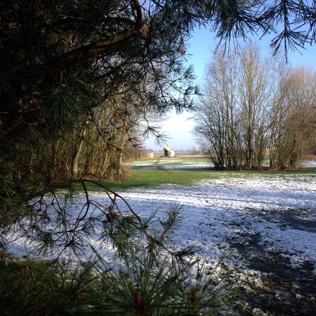 Sneeuw met in de verte een vakantiehuis op camping Voscheheugte