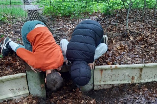 kinderen kijken in buis voor paddentrek