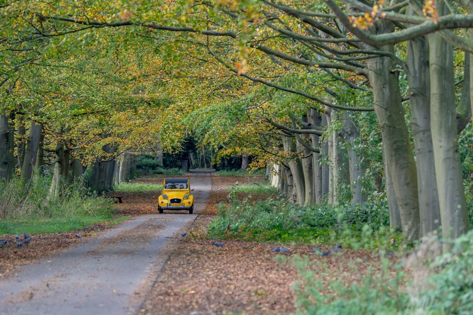 Op-Schouwen-Duiveland-Najaar
