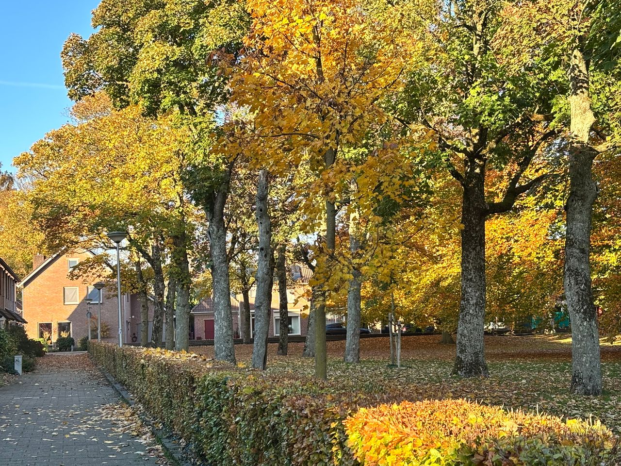 Aan het rustige park en op loopafstand van het bruisend centrum van Oss