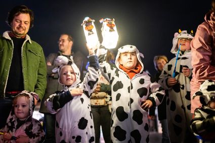 Kinderen wandelen met lampionnen naast de Woerdense koeienmascotte tijdens een avondoptocht in het centrum van Woerden.