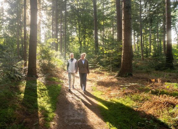 Twee wandelaars in het Sterrebos in Frederiksoord