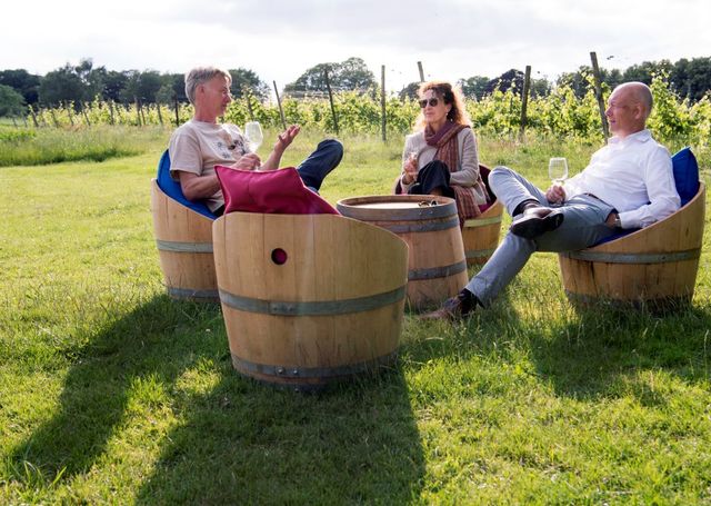 Drie mensen genieten van een glas wijn aan de rand van een wijngaard.