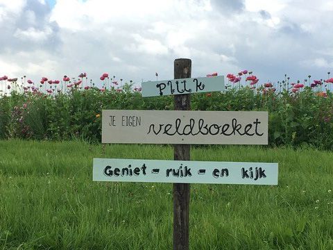 Farm De Zuiderkrib photo 5