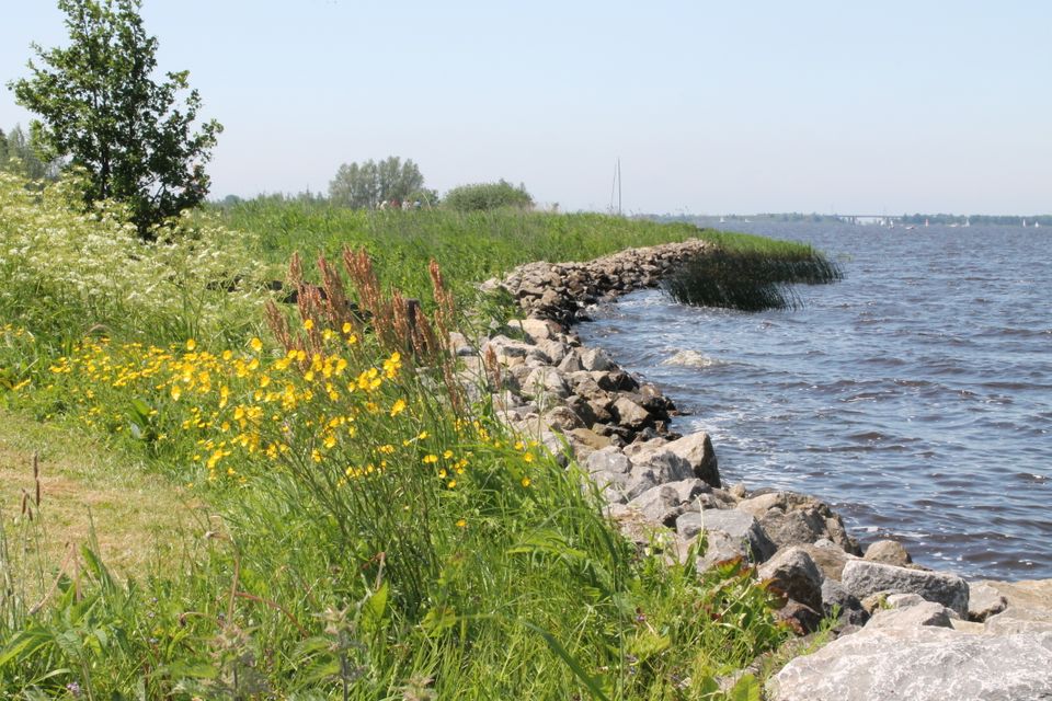 Een foto van de rand van het Tjeukemeer, je zie de lentebloei uit de stenen komen aan de rand van het meer.