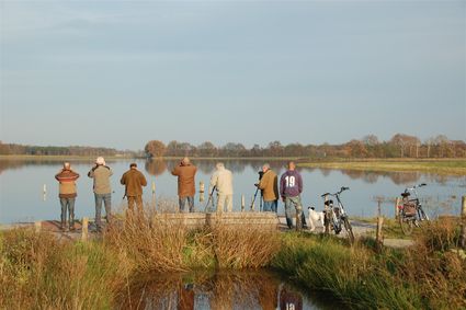 Vogels spotten