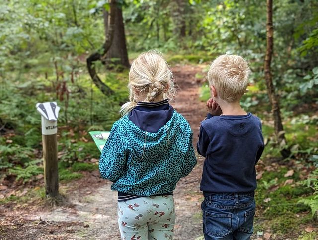 Dassenpad Elfbergenbos Gaasterland - Mar en Klif