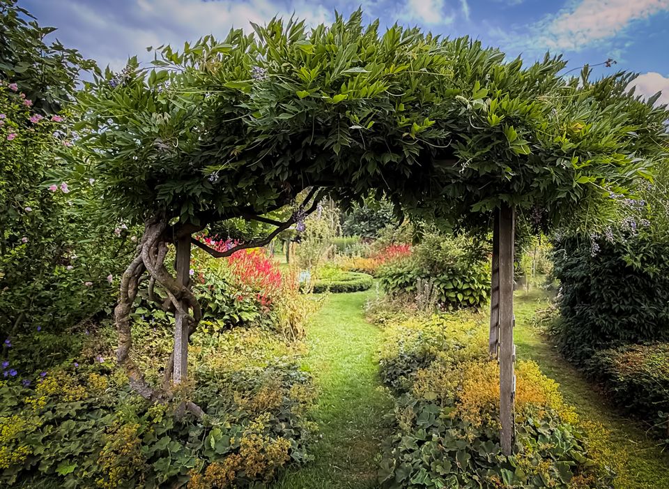 Begroeide pergola bij de siertuin van Kindetuinen Bussum