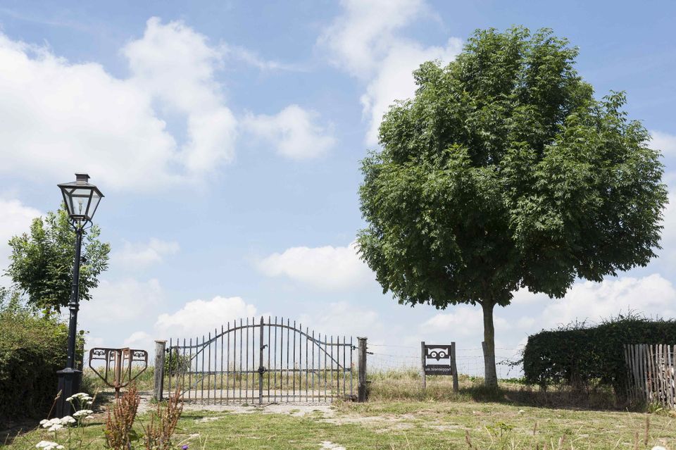 Heppienest accomodatie natuur groep Sint Geertruid