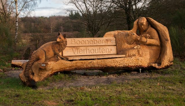 Ommetje door het bos