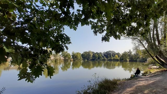 Fish pond 'De Clarinet' in Deurne Zeilberg