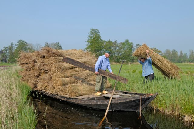 Reetkultur Old Giethoorn