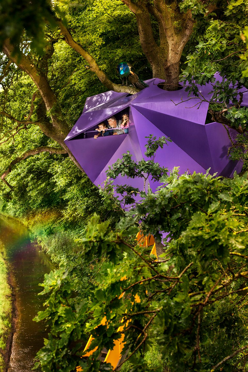 Design boomhut in Vijversburg