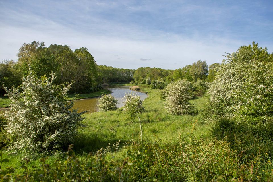 Op-Schouwen-Duiveland-fietsroute-haven-tot-haven-Beldert bij Dijkwater @CBoogaardfotografie