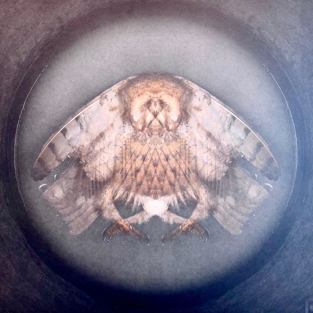 Mascha de Lange - Kwetsbaarheid mrt.2026