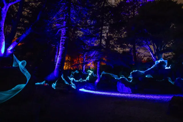 Licht show op het terrein tijdens Enchanted Gardens